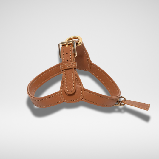 Leather Dog Leash