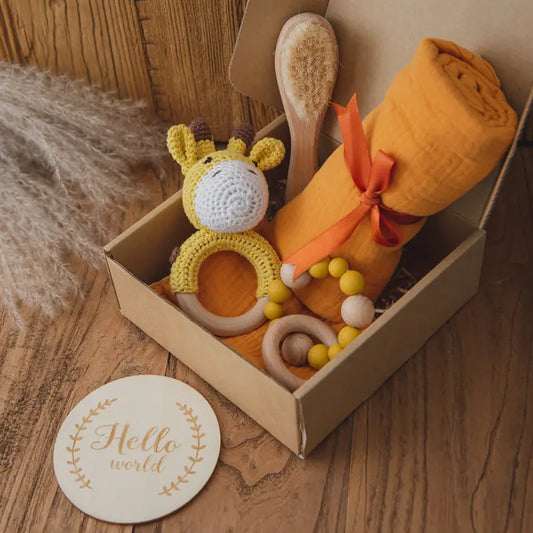 Baby Bath & Toy Gift Box